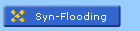 Syn-Flooding